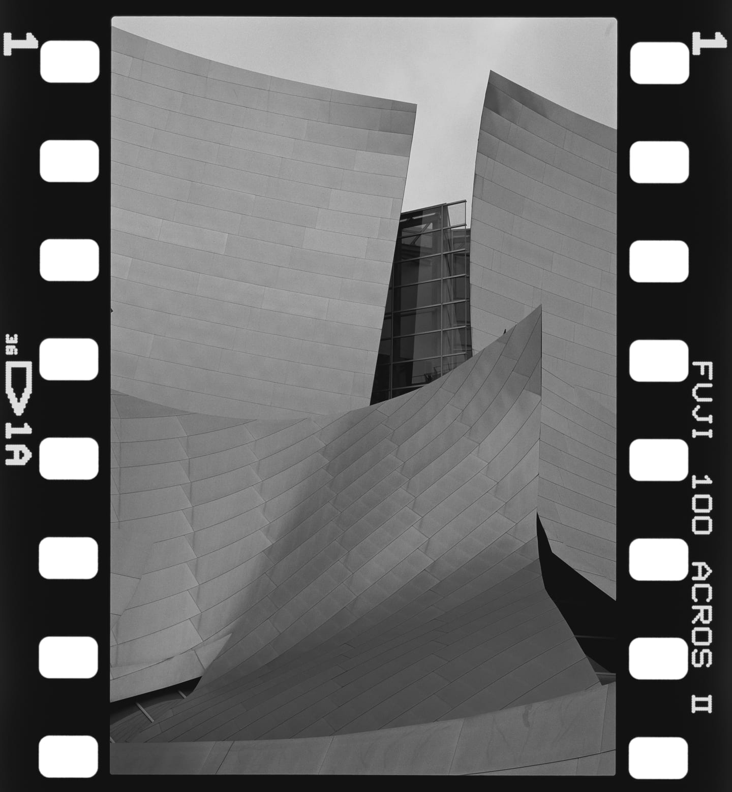Walt Disney Concert Hall on Fujifilm Neopan 100 Acros II, 135, printed on Ilford Multigrade IV RC.